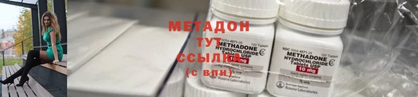 прущие грибы Армянск