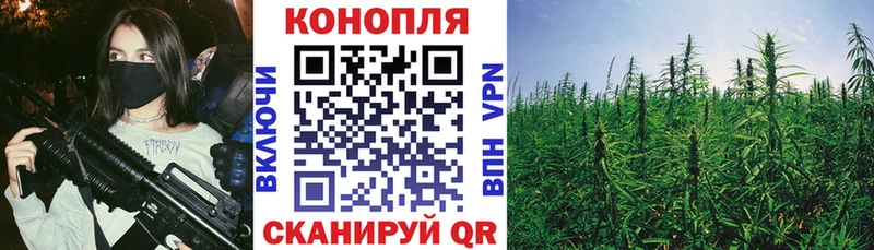 Канабис конопля  Купить закладки  Сосенский 